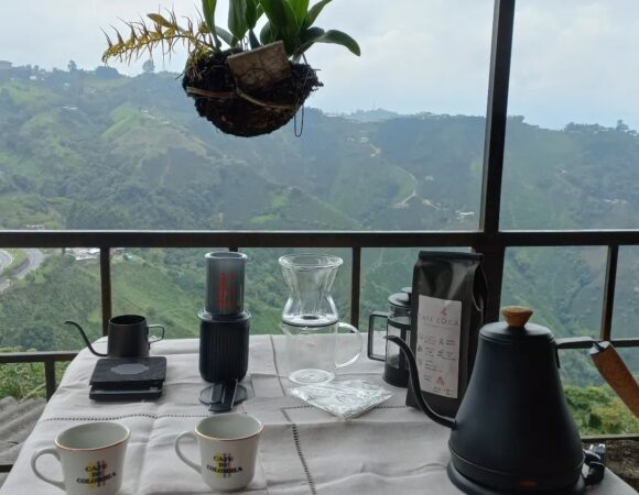 Coffee Farm Sensory Experience